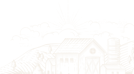 Afyon Kurbanlık Hisse | Afyon Adaklık| Akika Kurbanı | Şükür Kurbanı | Afyon Adaklık Kurban