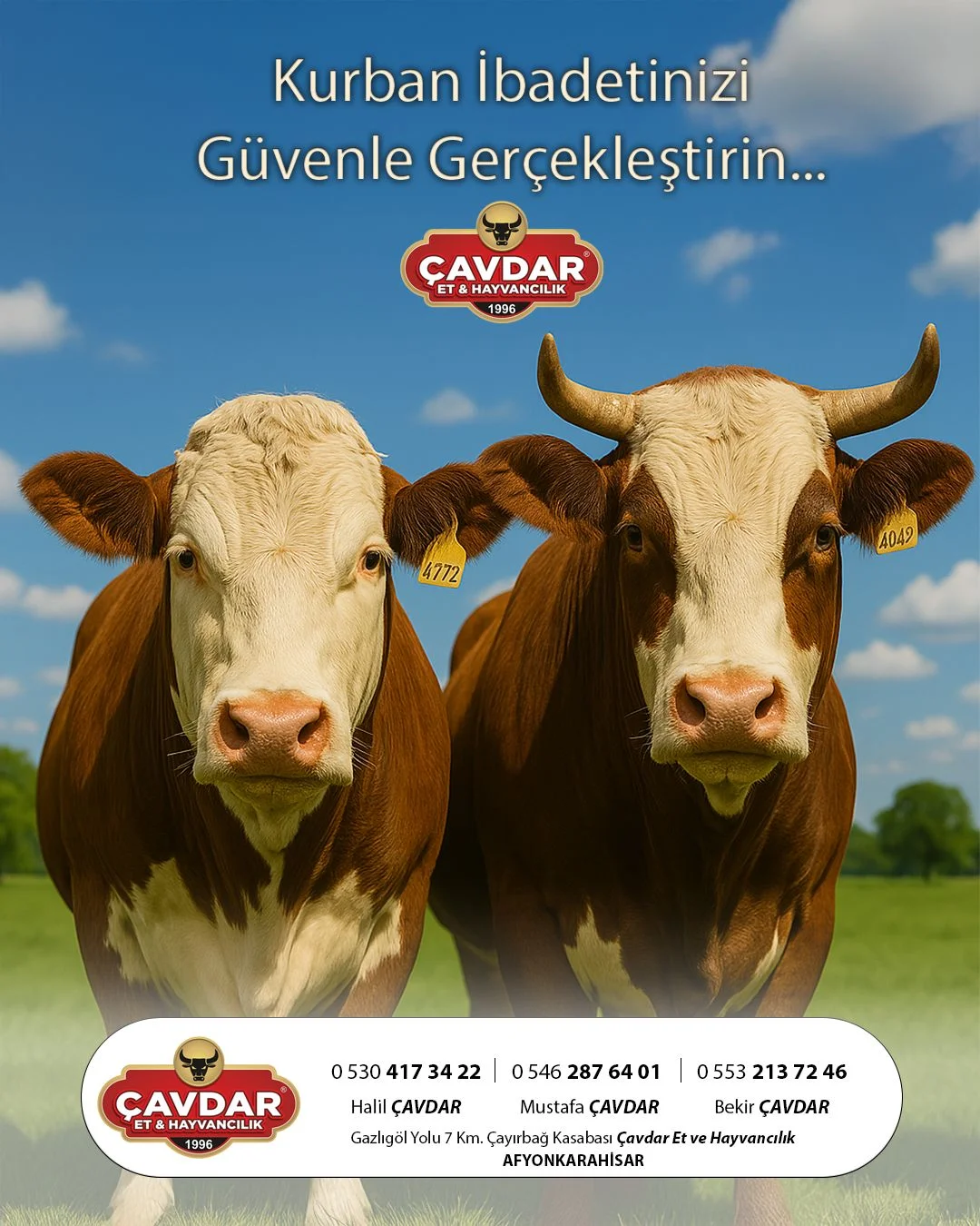 Afyon Kurbanlık Hisse | Afyon Adaklık| Akika Kurbanı | Şükür Kurbanı | Afyon Adaklık Kurban