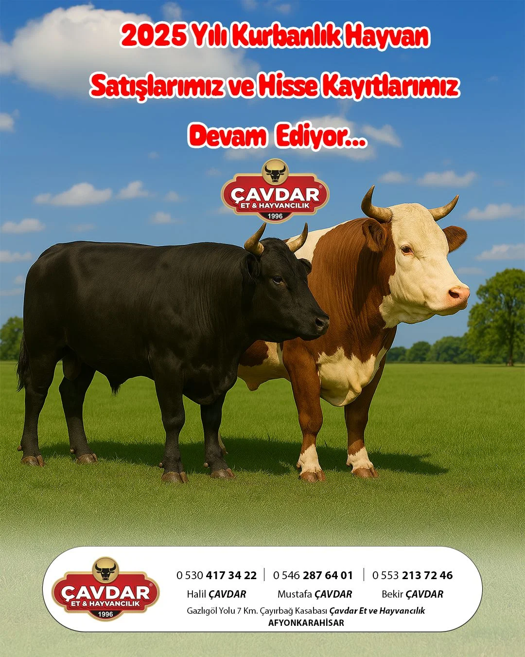 Afyon Kurbanlık Hisse | Afyon Adaklık| Akika Kurbanı | Şükür Kurbanı | Afyon Adaklık Kurban